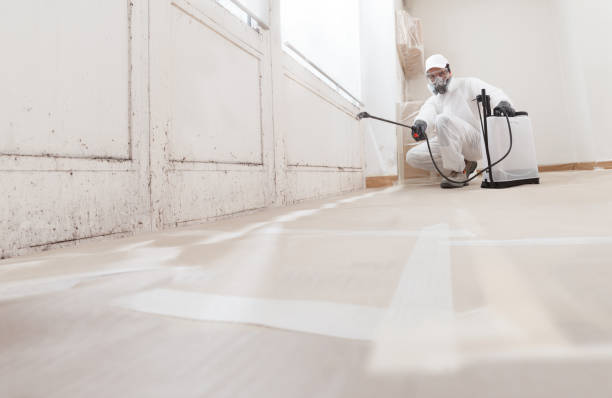 24/7 Emergency Mold Remediation experts in West New York, NJ