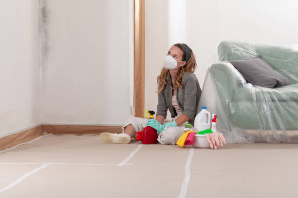 Reliable Mold Remediation contractor in West New York, NJ by Mold Remediation HQ